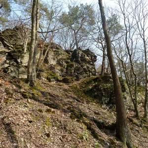 Obrázek