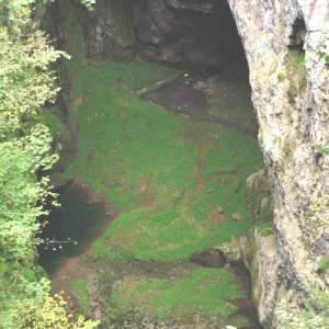 Obrázek