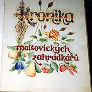 Obrázek