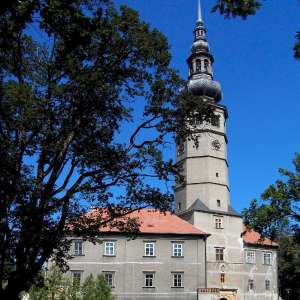 Obrázek