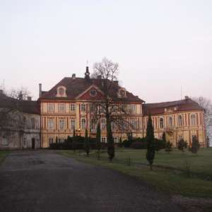 Obrázek