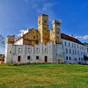 Obrázek