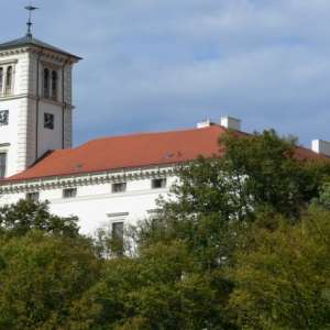 Obrázek