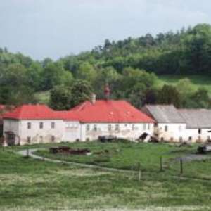 Obrázek
