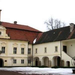 Obrázek