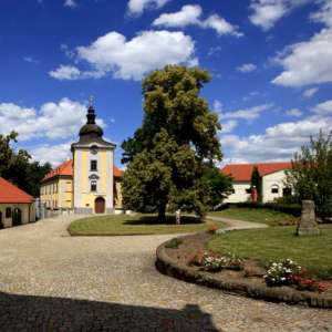 Obrázek