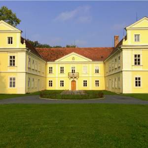 Obrázek