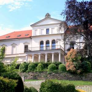 Obrázek