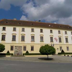 Obrázek