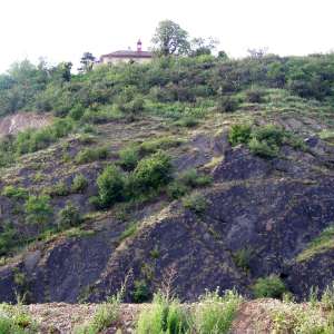 Obrázek