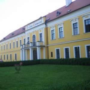 Obrázek