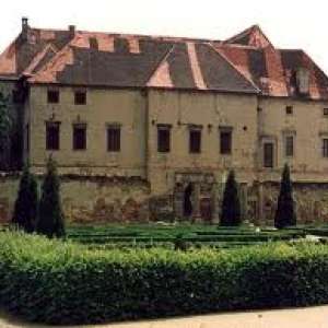 Obrázek