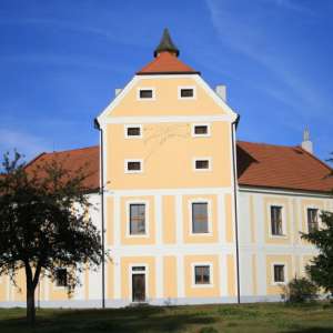 Obrázek