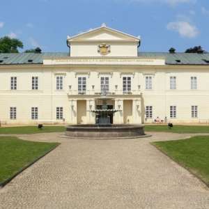 Obrázek
