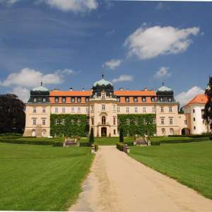 Obrázek