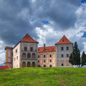 Obrázek