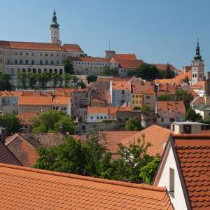 Obrázek