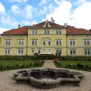 Obrázek