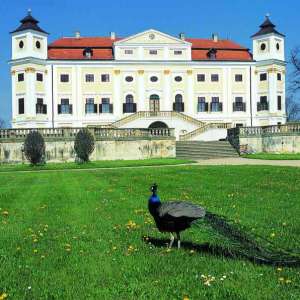 Obrázek