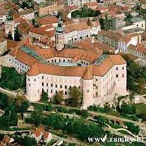 Obrázek