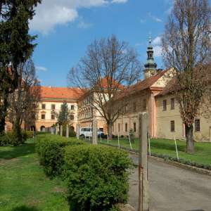 Obrázek