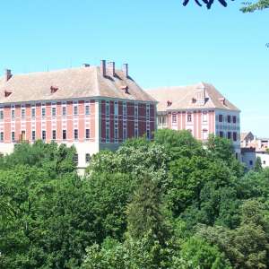 Obrázek
