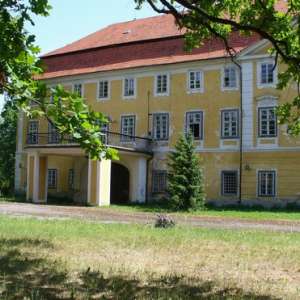 Obrázek