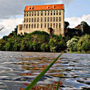 Obrázek