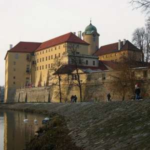 Obrázek