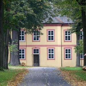 Obrázek