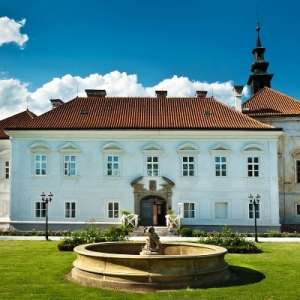 Obrázek