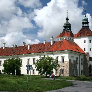 Obrázek