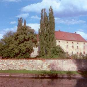Obrázek