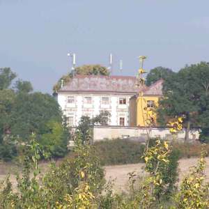 Obrázek