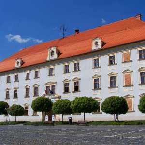 Obrázek