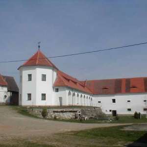 Obrázek