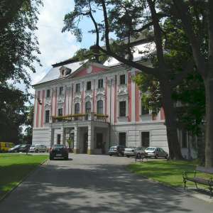 Obrázek