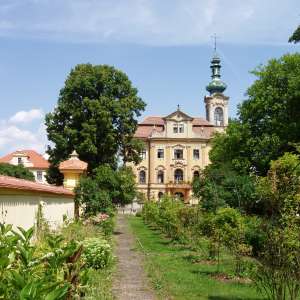 Obrázek