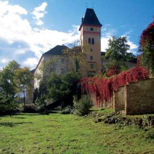 Obrázek