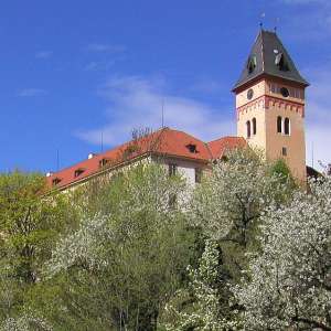 Obrázek