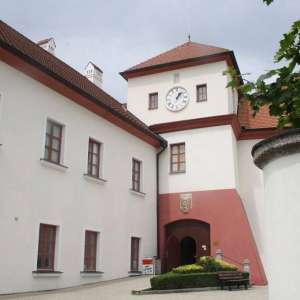 Obrázek