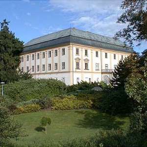 Obrázek