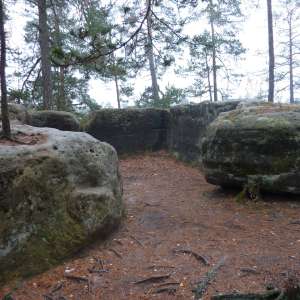 Obrázek