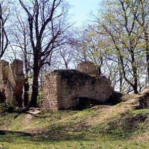 Obrázek