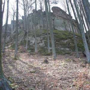Obrázek