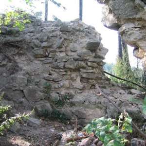 Obrázek