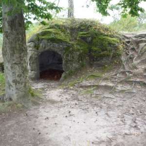 Obrázek