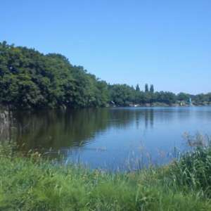 Obrázek