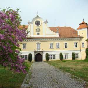 Obrázek