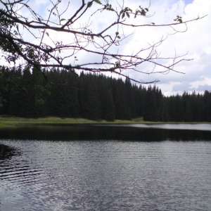 Obrázek